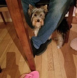 Meet your Posher, Manuel